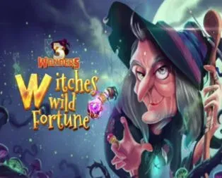 Witches Wild Fortune